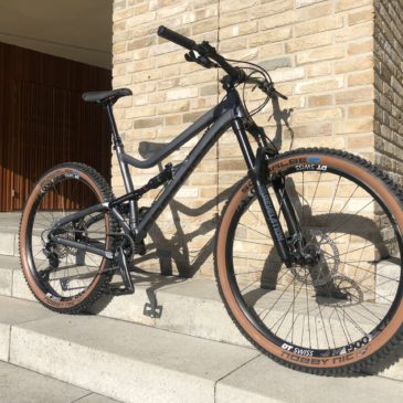 Dartmoor Bluebird (Mountain Grey Chicken)