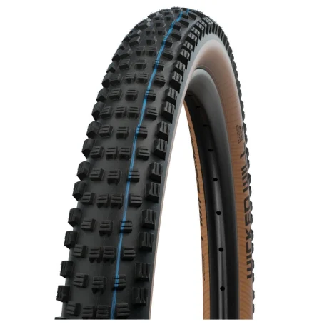 Schwalbe-Wicked-Will