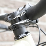 Descendant stem